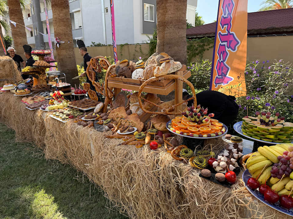 Gastro Kaia Coracesium