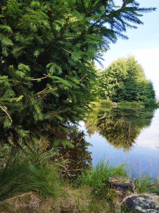 Gartenanlage Hotel Knaus Campingpark Viechtach