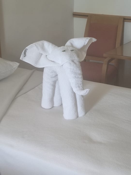 Zimmer Menaville Safaga