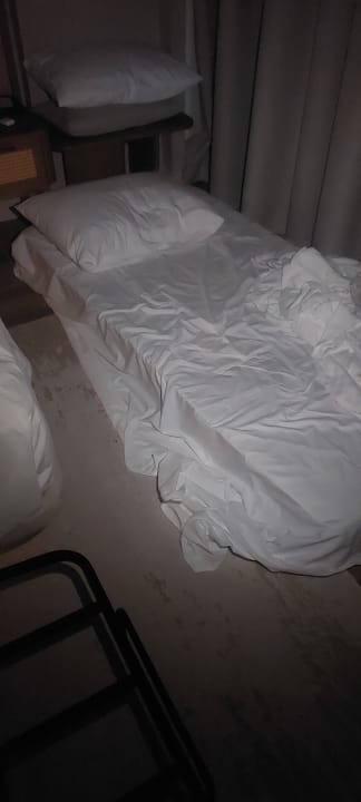 Zimmer Liberty Signa