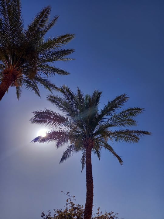 Gartenanlage Continental Hotel Hurghada