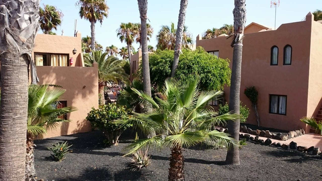 Blick von unserem App. Hotel Oasis Dunas