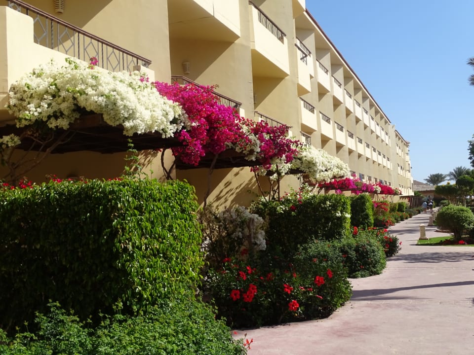 Außenansicht Amwaj Beach Club Abu Soma Resort