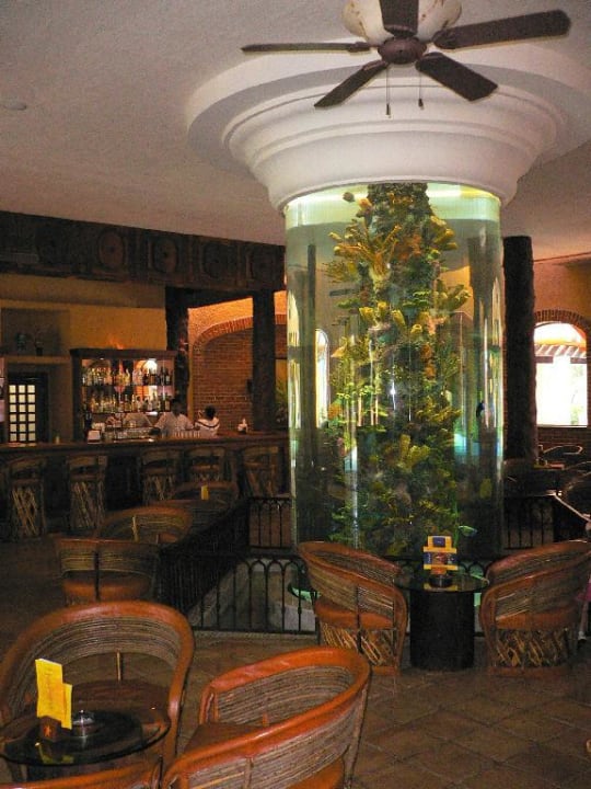 Lobby Bar... Iberostar Selection Paraiso Lindo