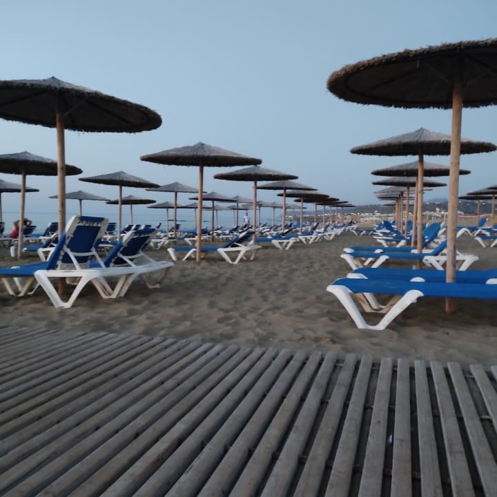 Strand allsun Hotel Carolina Mare