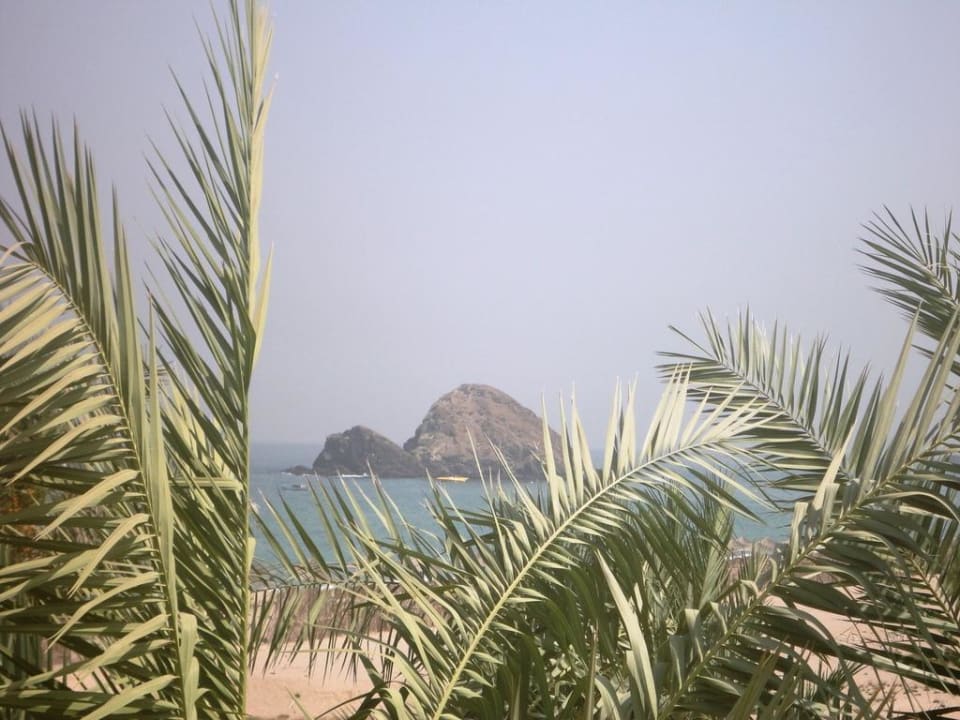 Ausblick vom Hotelzimmer Miramar Al Aqah Beach Resort