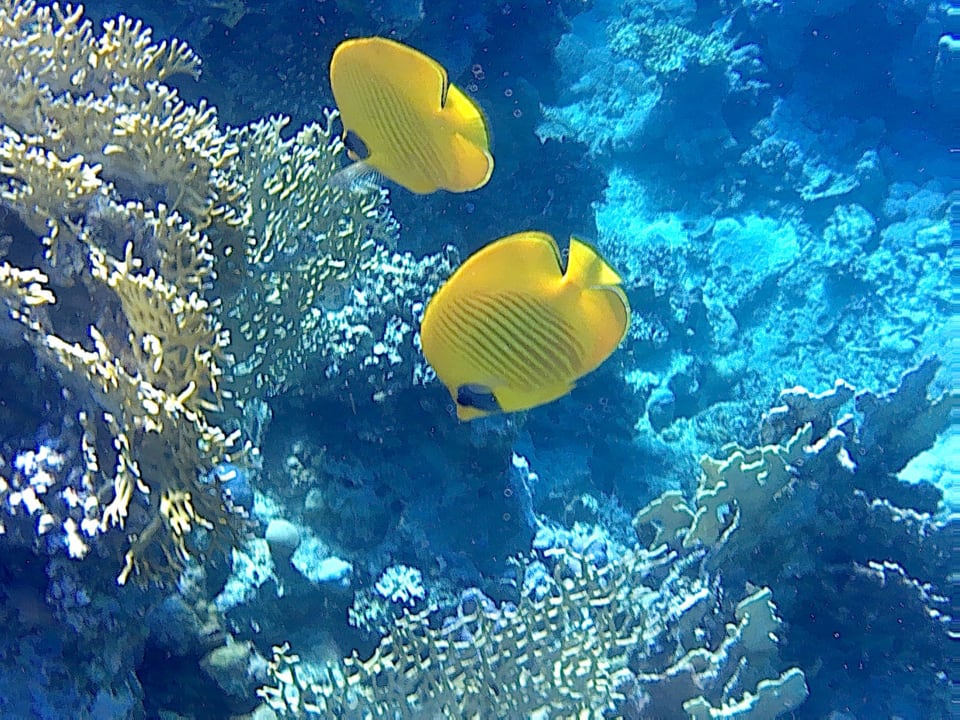 Sport & Freizeit Brayka Bay Resort