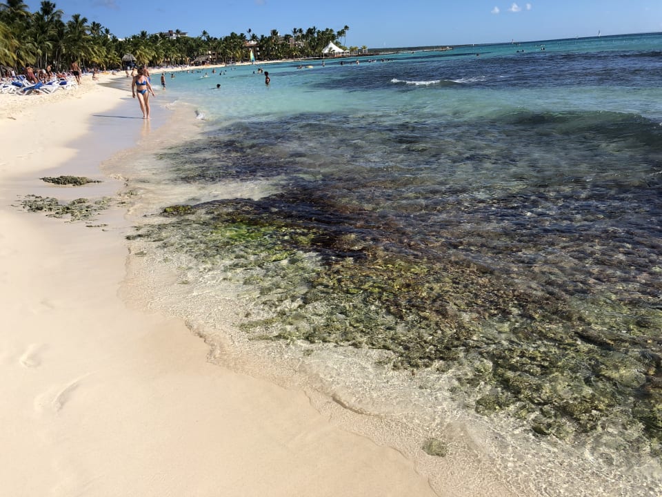 Strand Hotel Viva Dominicus Beach by Wyndham - All Inclusive Resort