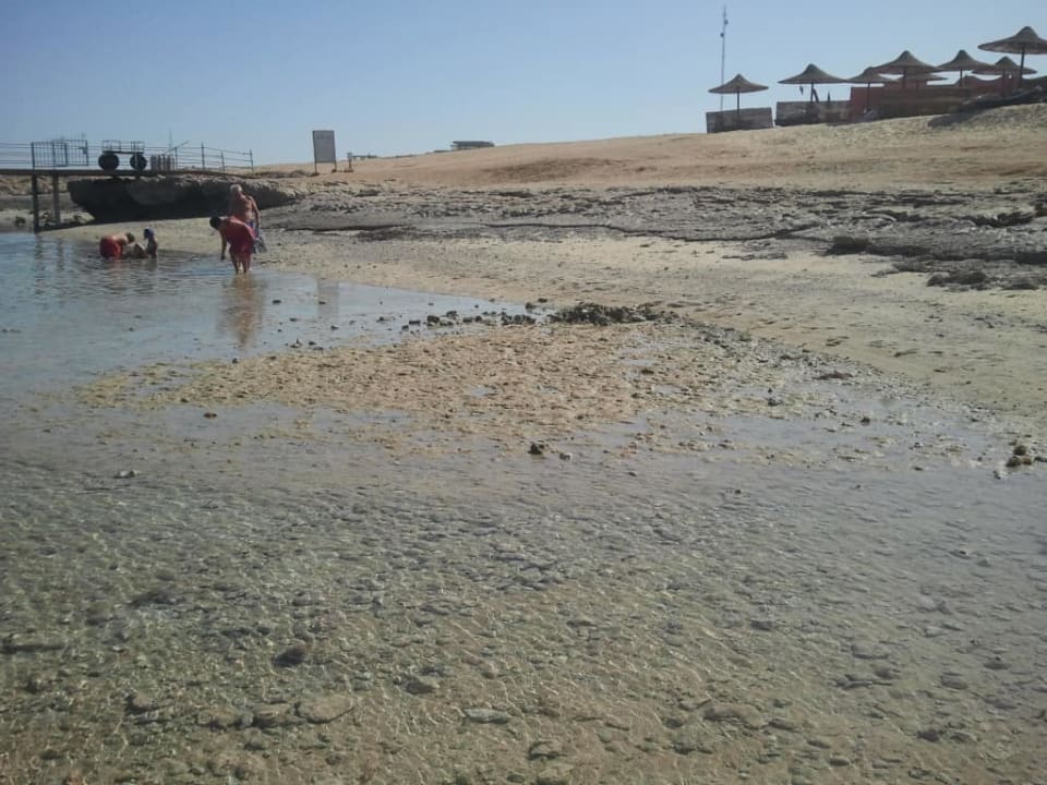 Wejście do wody Three Corners Happy Life Beach Resort