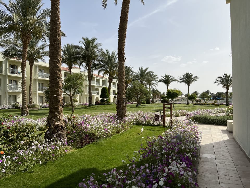 Gartenanlage Pickalbatros Dana Beach Resort - Hurghada