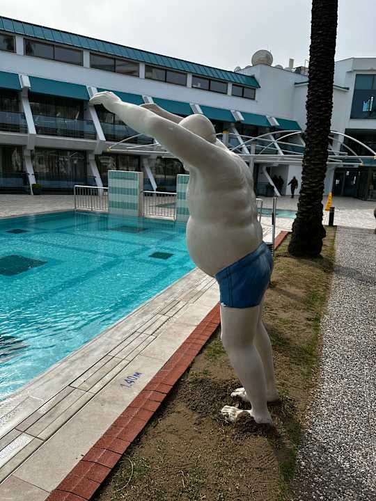 Pool Side Star Elegance