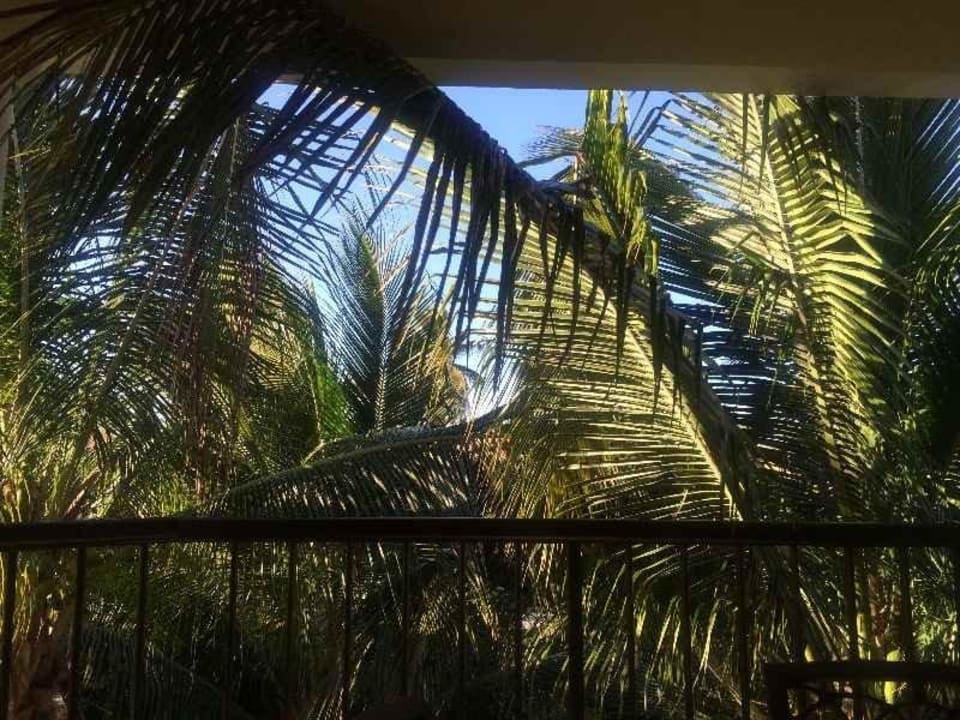 Gartenblick One Bedroom Mastersuite Paradisus Palma Real Golf & Spa Resort