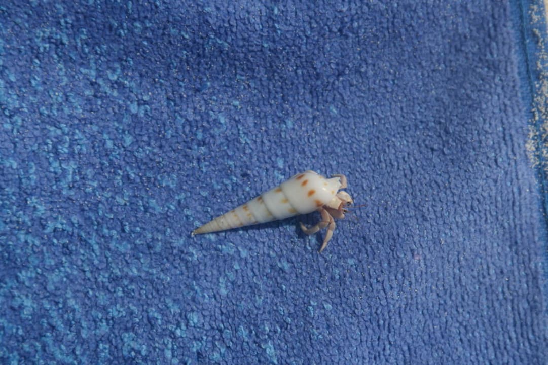 Schwere Last Embudu Village