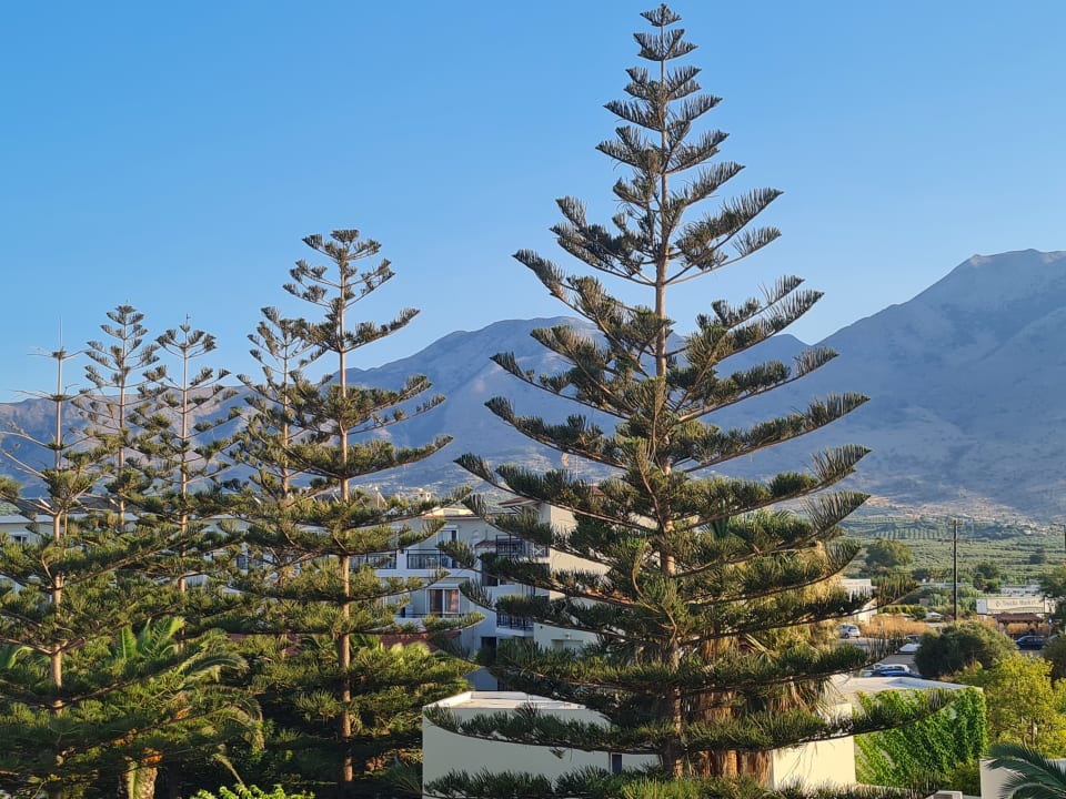 Ausblick Vantaris Luxury Beach Resort