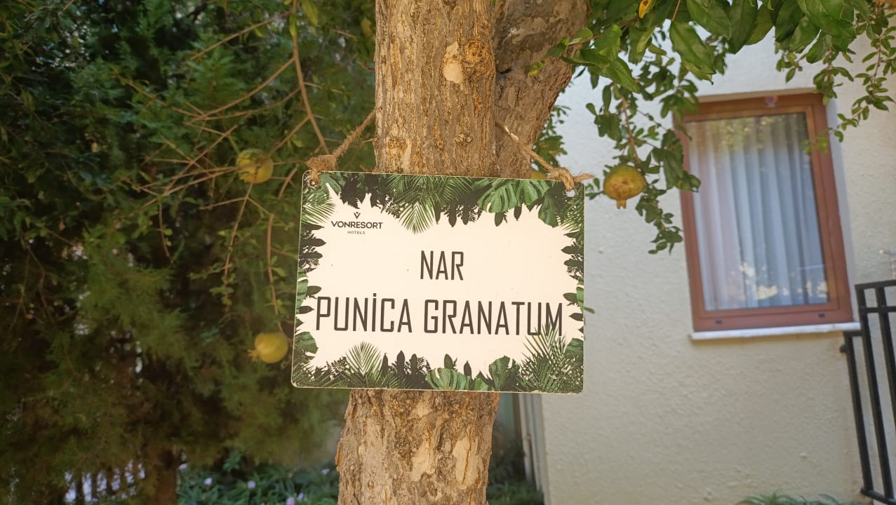 Gartenanlage VONRESORT Golden Beach