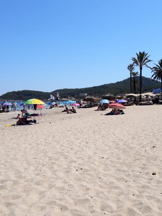 Strand FERGUS Style Bahamas