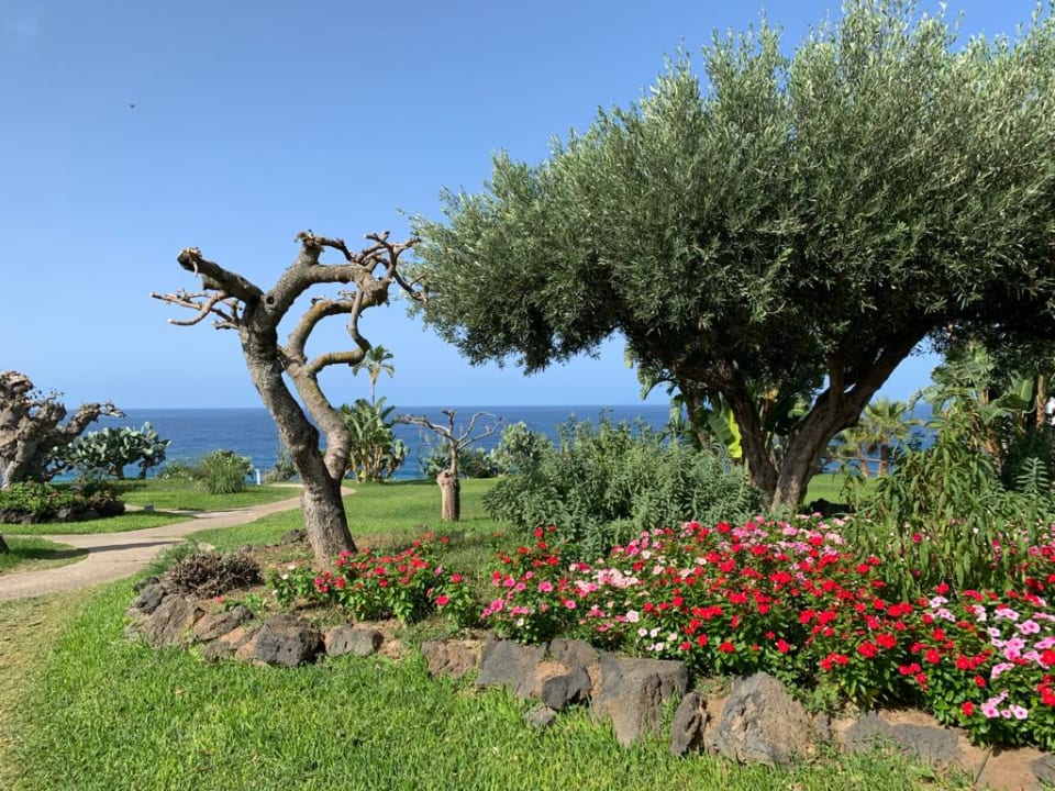 Gartenanlage Borgo Donna Canfora