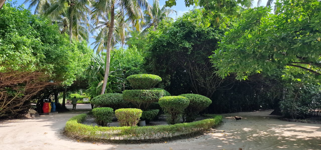 Gartenanlage Adaaran Select Meedhupparu Island Resort - Premium All Inclusive