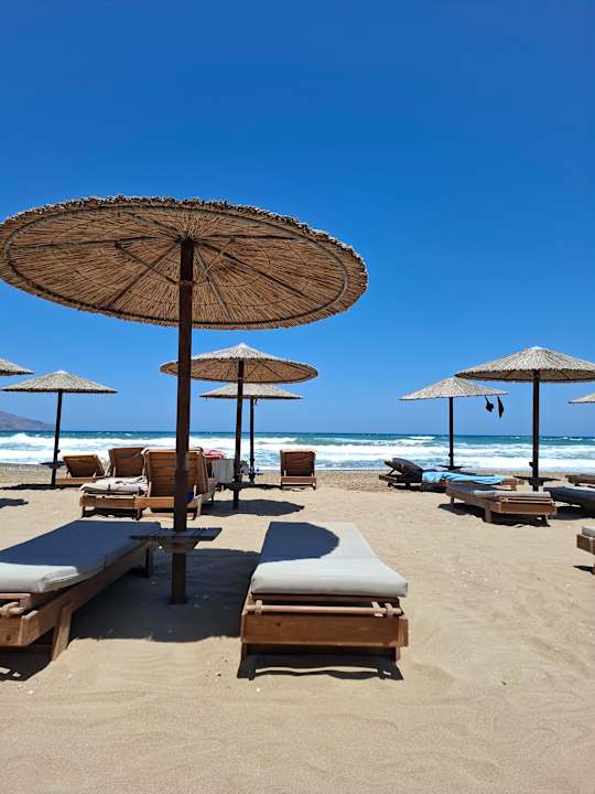 Strand Delfina Tropic Beach