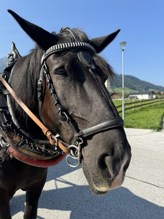 Außenansicht Kinderhotel Felben