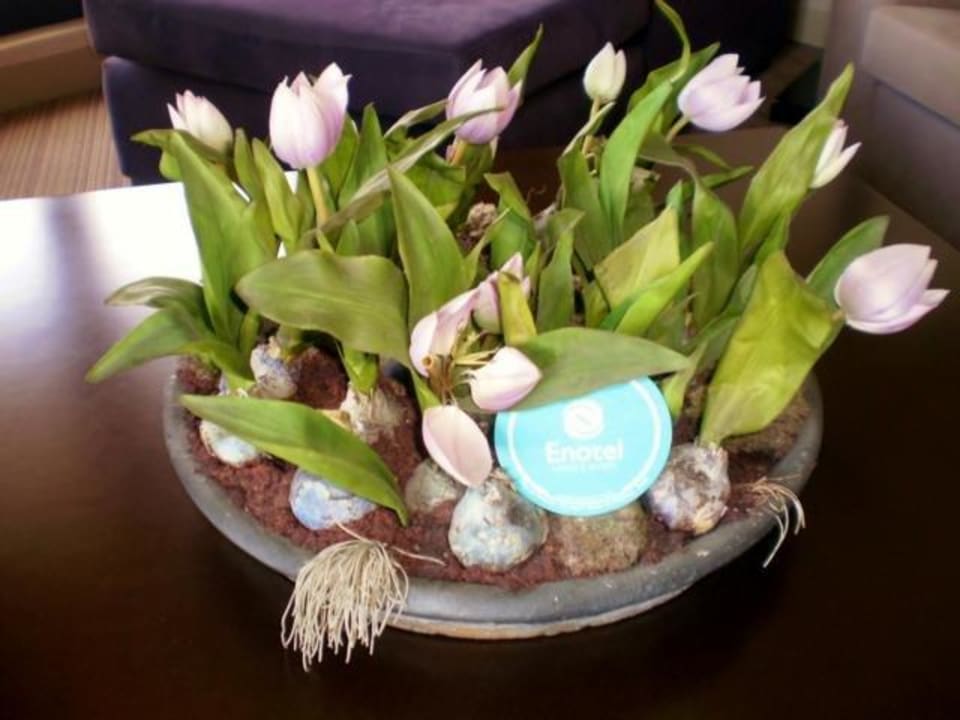 Zweite Suite - ein Traum - 1056 Enotel Lido