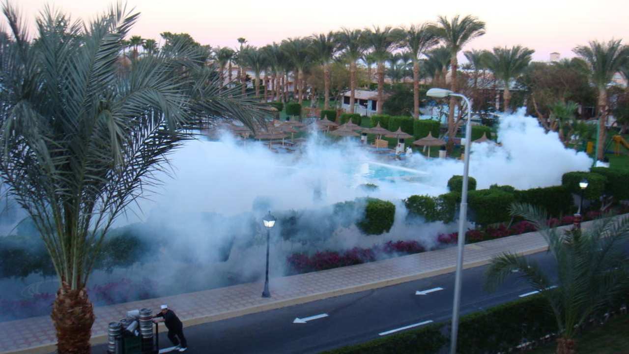 Gartenarbeit Pickalbatros Palace Resort