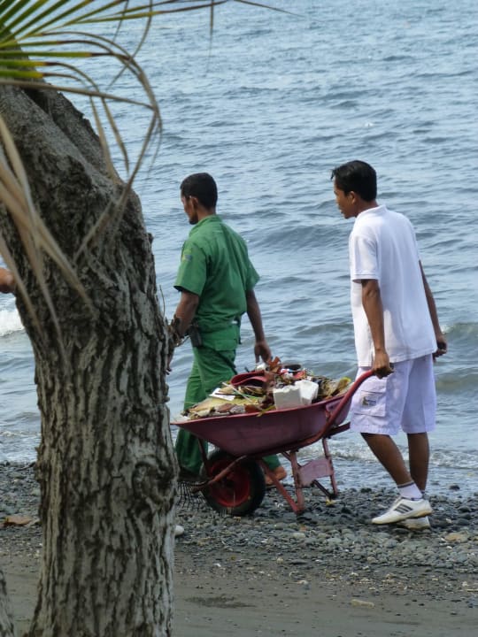Das war nur einer von vielen Schubkarren Hotel Matahari Beach Resort & Spa