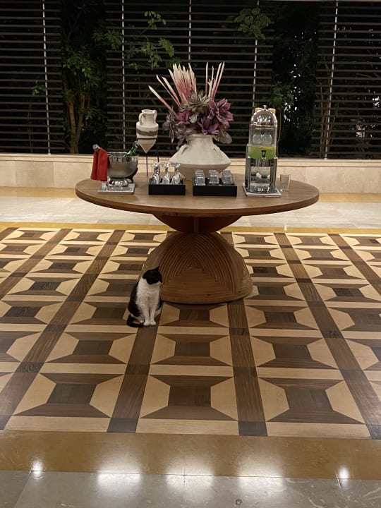 Lobby Trendy Palm Beach (Adults Only, 16+)