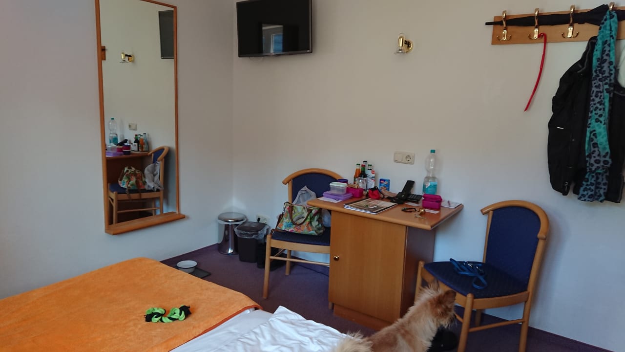 Zimmer Hunderesort Waldeck