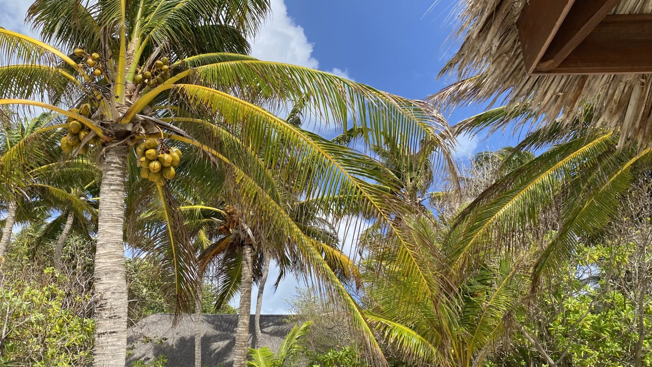 Ausblick Summer Island Maldives