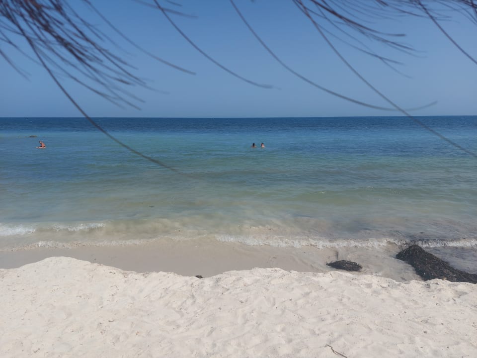 Strand Hotel El Mouradi Djerba Menzel