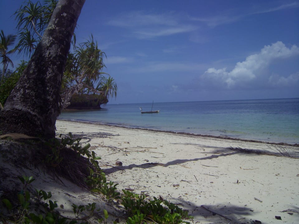 Hotel-Strand bei Flut PrideInn Flamingo Beach Resort & Spa