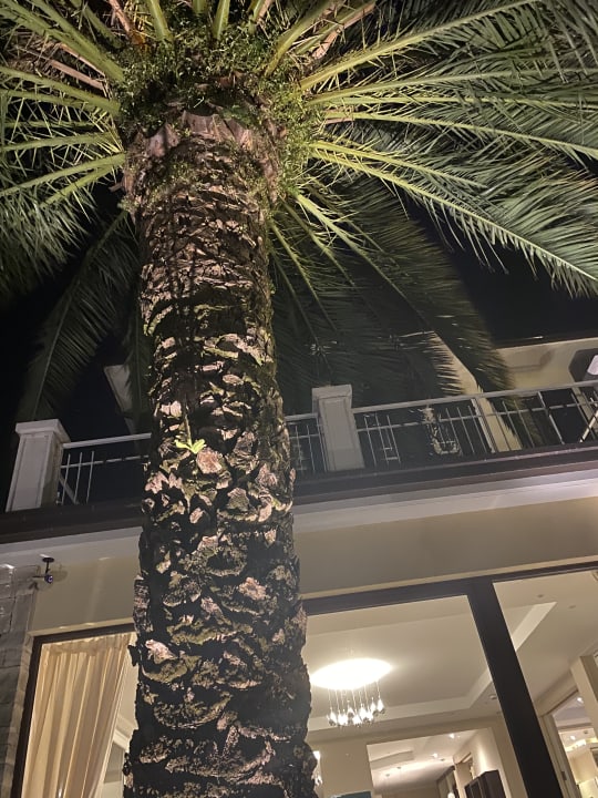 Außenansicht Hotel Sorriso