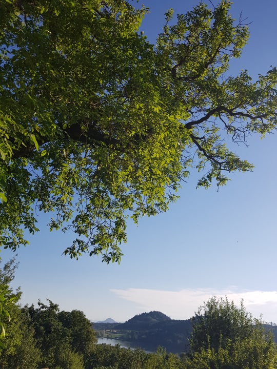 Ausblick Pension Seesicht