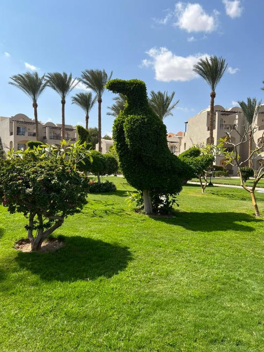 Außenansicht Jaz Makadi Oasis Resort