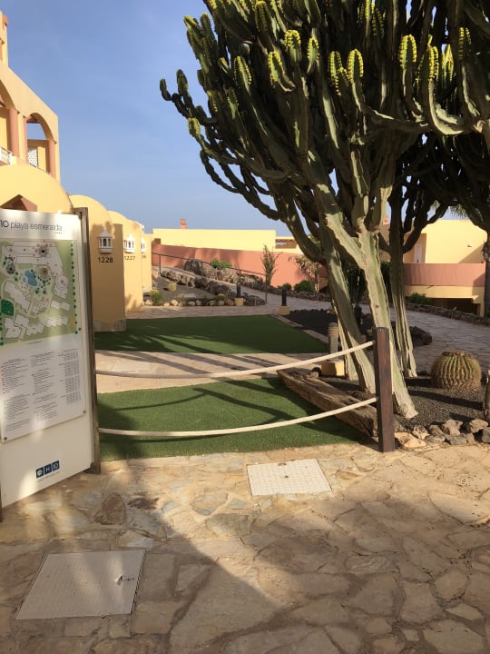 Gartenanlage H10 Playa Esmeralda - Adults only