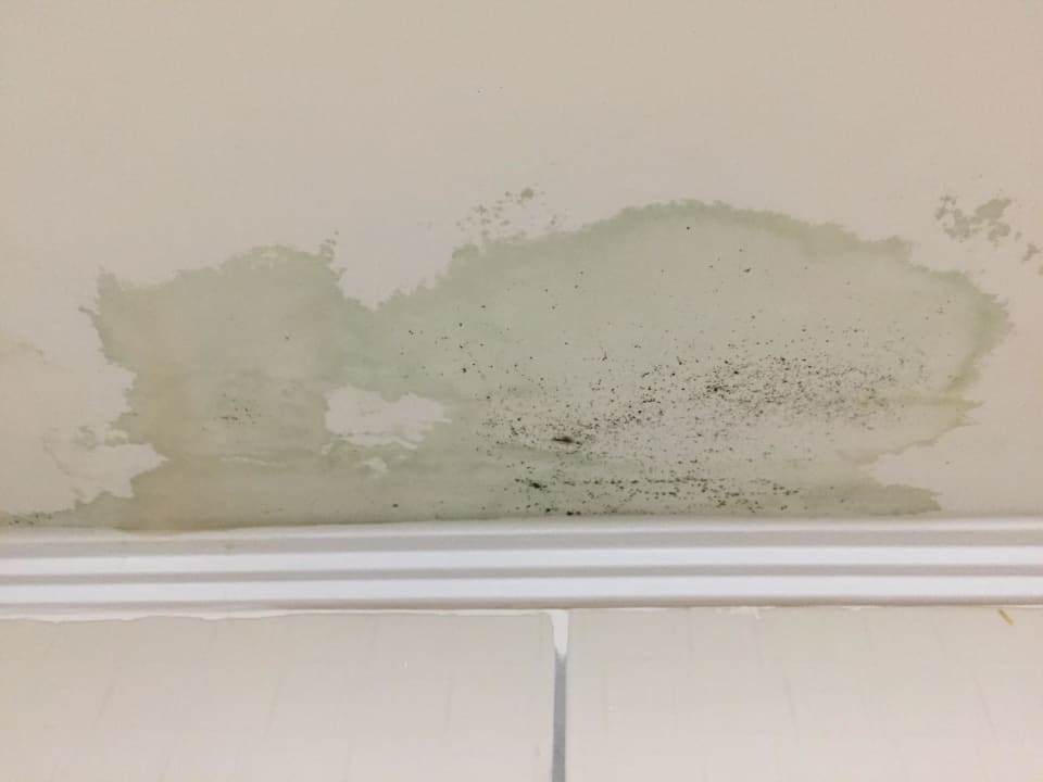 Wächst und wächst Starlight Resort Hotel