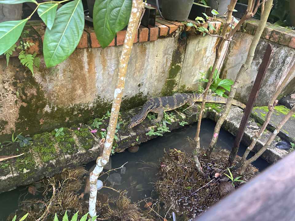 Gartenanlage Khaolak Bhandari Resort & Spa