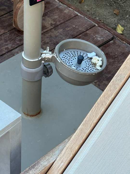 Pool Acanthus Cennet Barut Collection