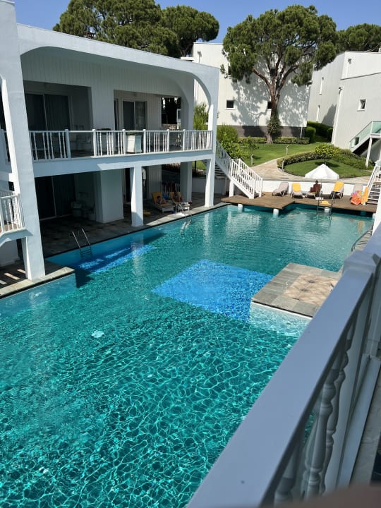 Zimmer Papillon Zeugma Relaxury