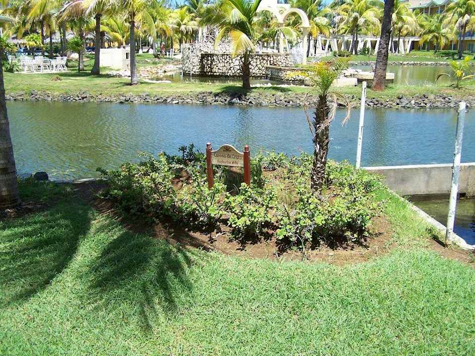 Gartenteich Melia Las Antillas - Adults only