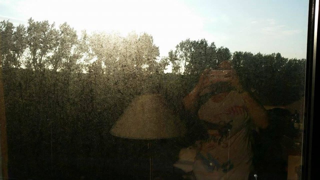 Dank dreckiger Fenster nicht möglich The Hague Marriott