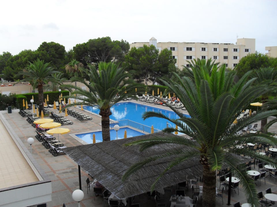 Pool am Morgen Millor Sol