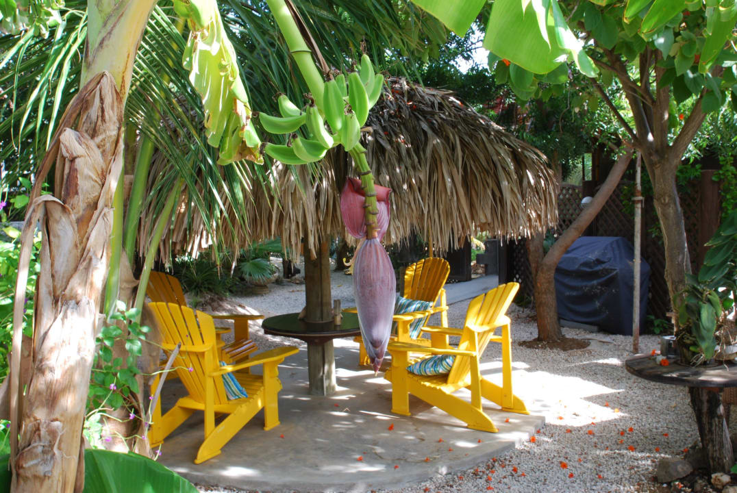 Bananenstaude mit Blüte und Früchten im Vordergrund Bamboo Bali Resort