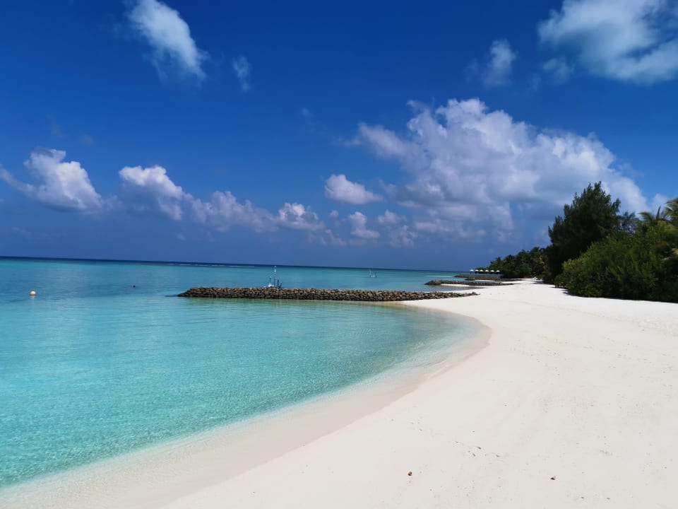 Strand Summer Island Maldives