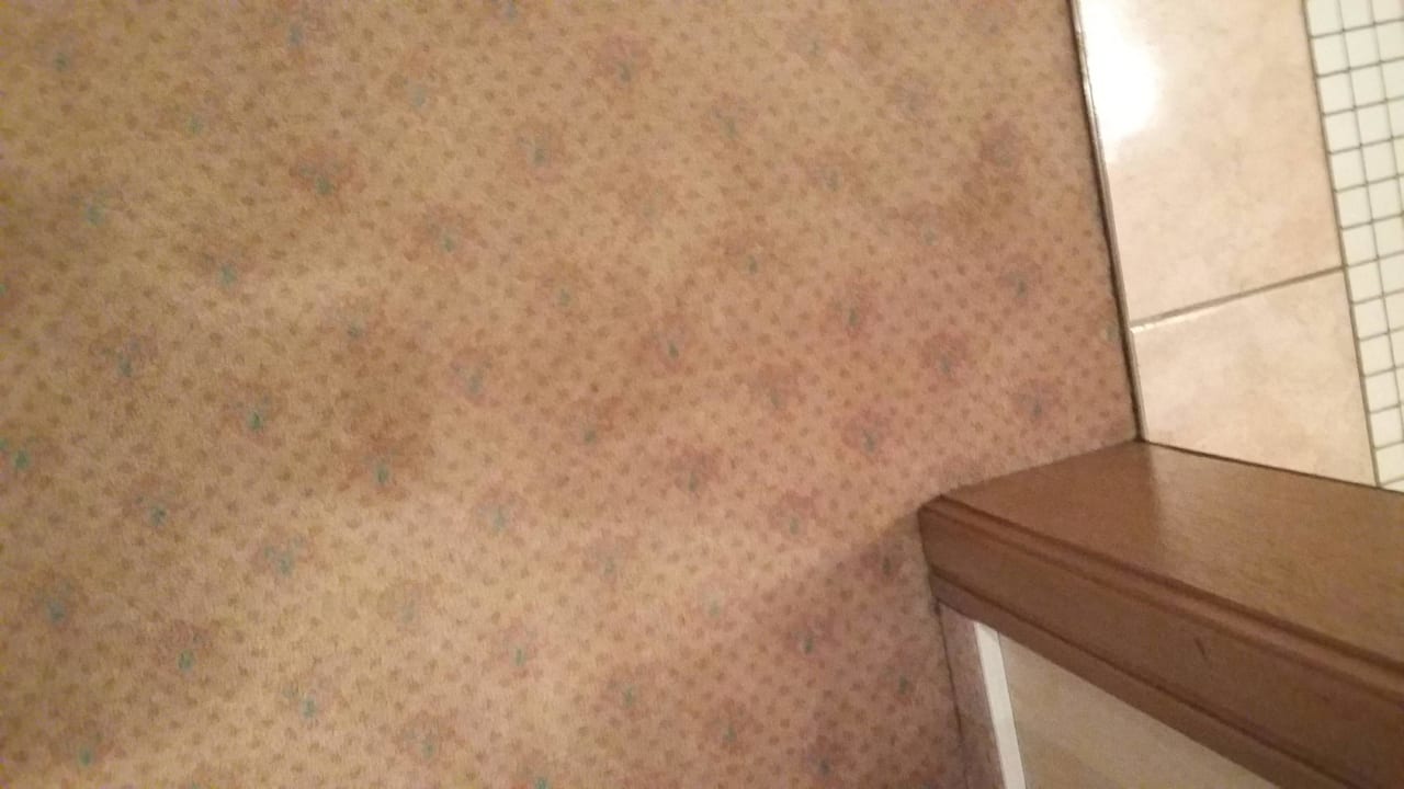 Schmutzig Berghotel Hoher Knochen