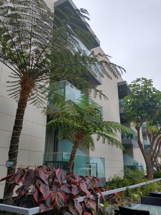 Gartenanlage Hotel Golden Residence