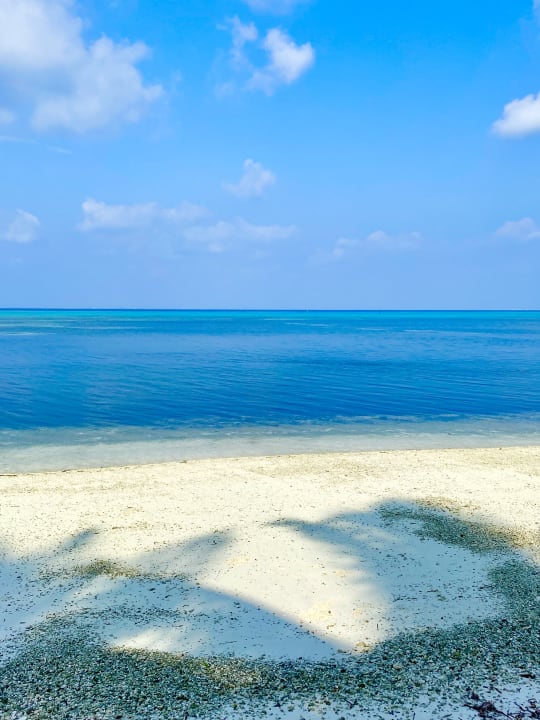 Ausblick Canareef Resort Maldives