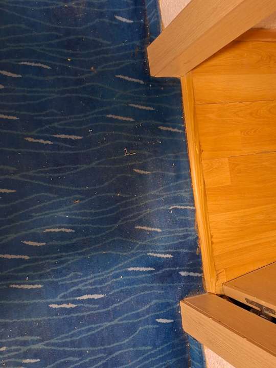 Zimmer Calimera One Resort Jockey