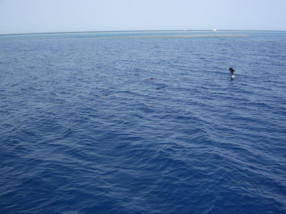 So schön ist das Rote Meer Brayka Bay Resort